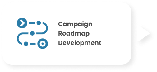 Campaign Roadmap Development