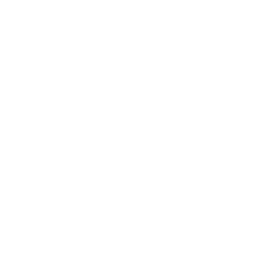 GS