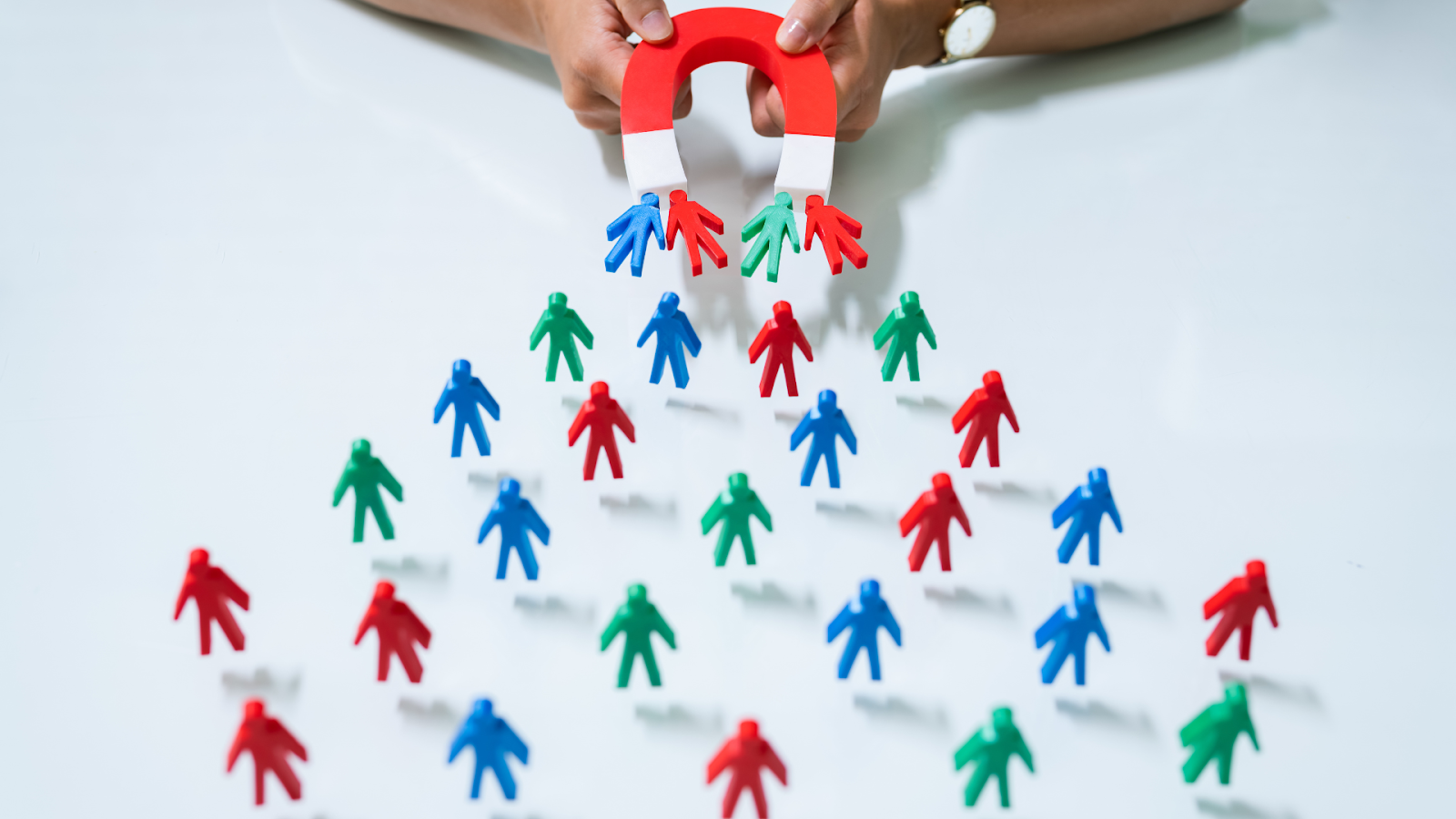  Lead Segmentation 