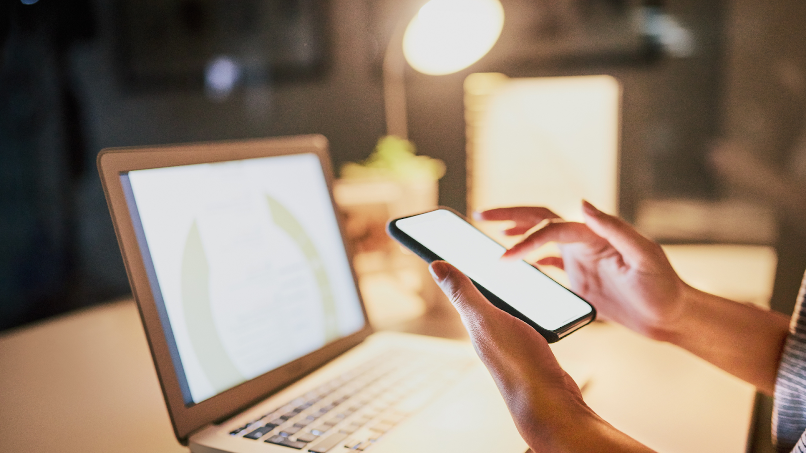 Building A User-Friendly Website