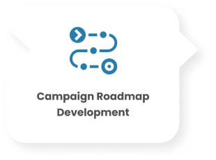 Campaign Roadmap Development